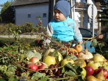 DSCN1601.JPG