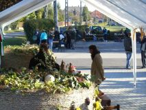 DSCN1609.JPG