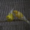 IMG_4957
