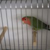 IMG_5017