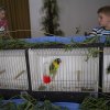 IMG_5021