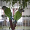 IMG_5057