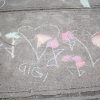 IMG_6880