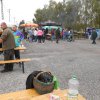 Itthon vagy 2017